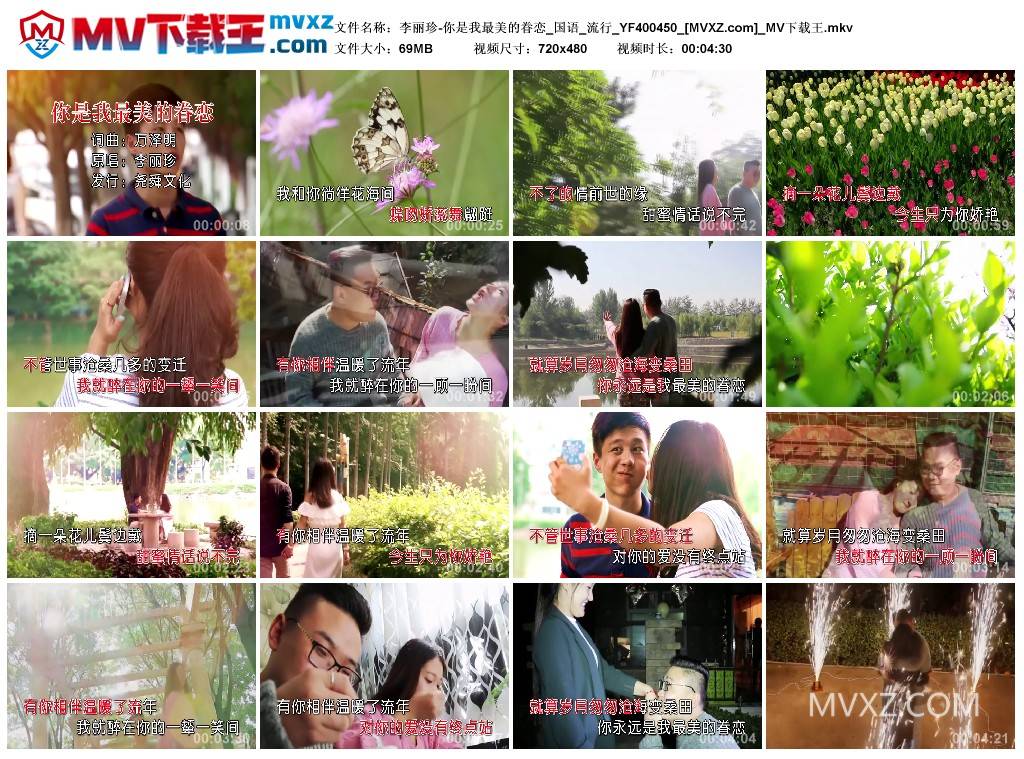 李丽珍-你是我最美的眷恋_国语_流行_YF400450